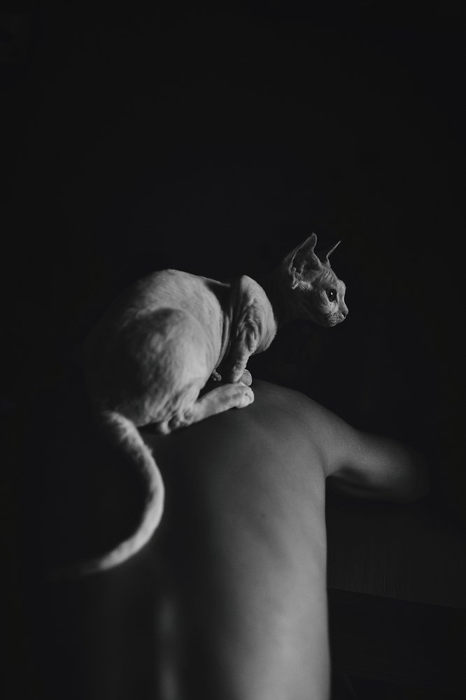 Photograph by Галина Надводнюк