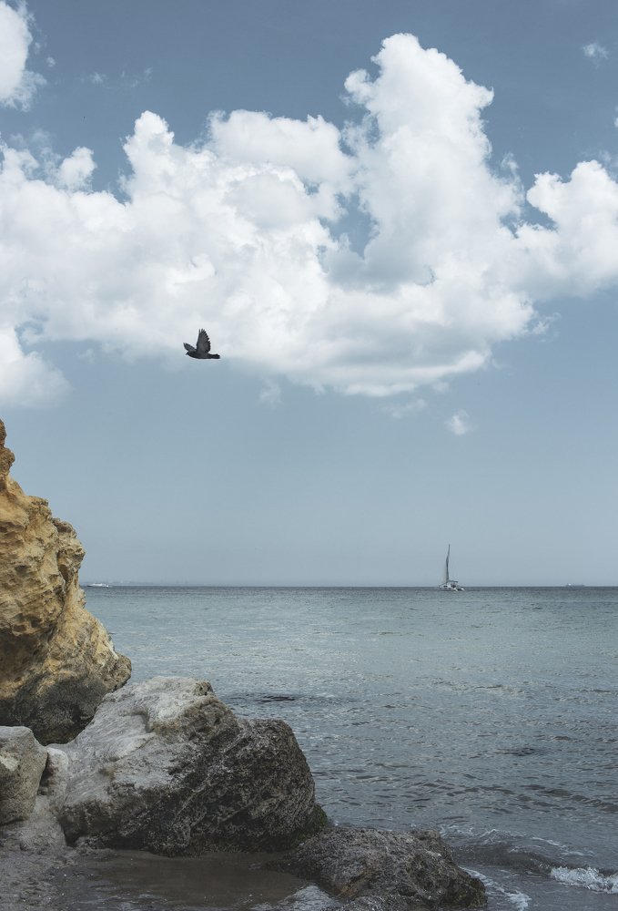 Фотография автора Dmitriy Zhuravlev