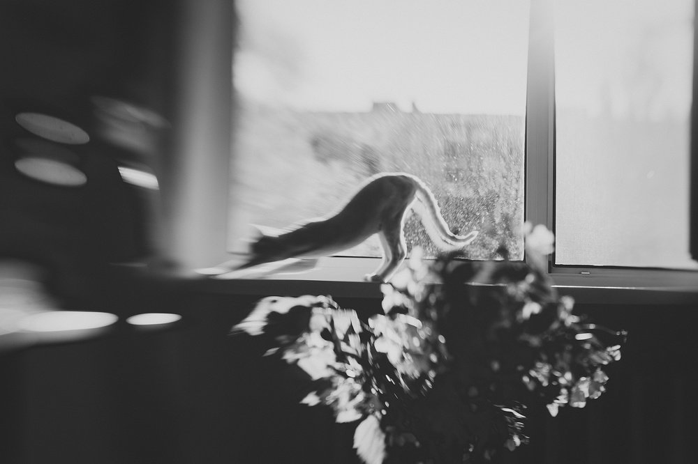 Photograph by Галина Надводнюк