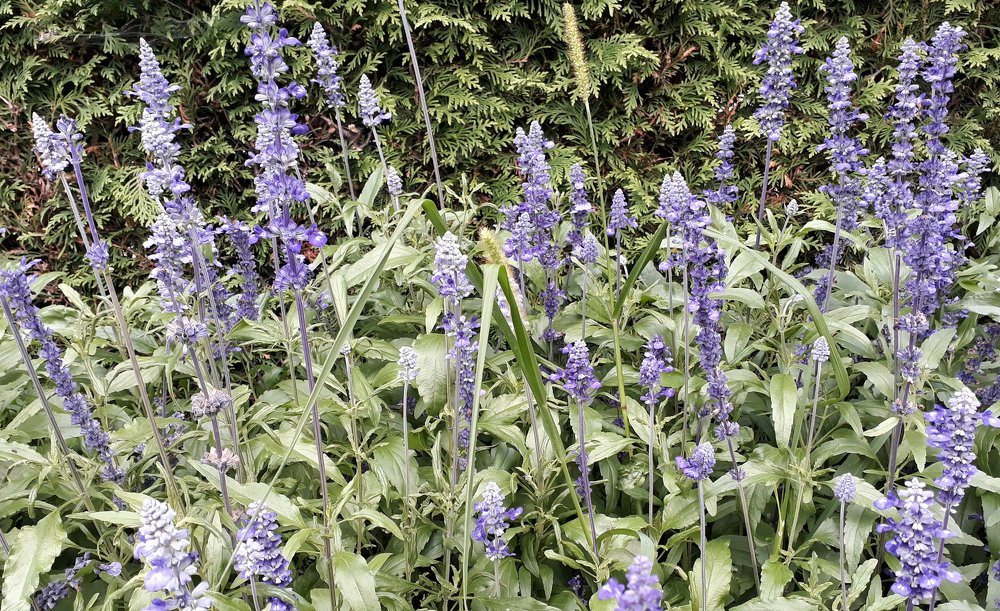 Photograph by Marius-Angel Gheorghe