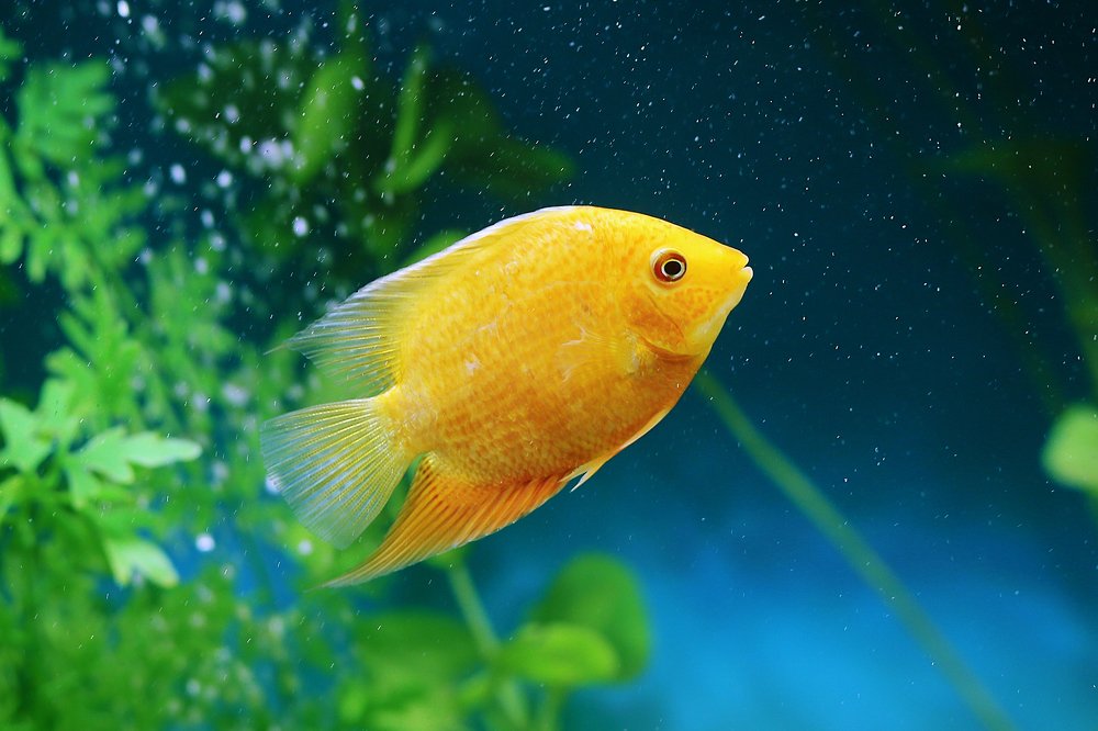 Photograph by Natalya Chumak