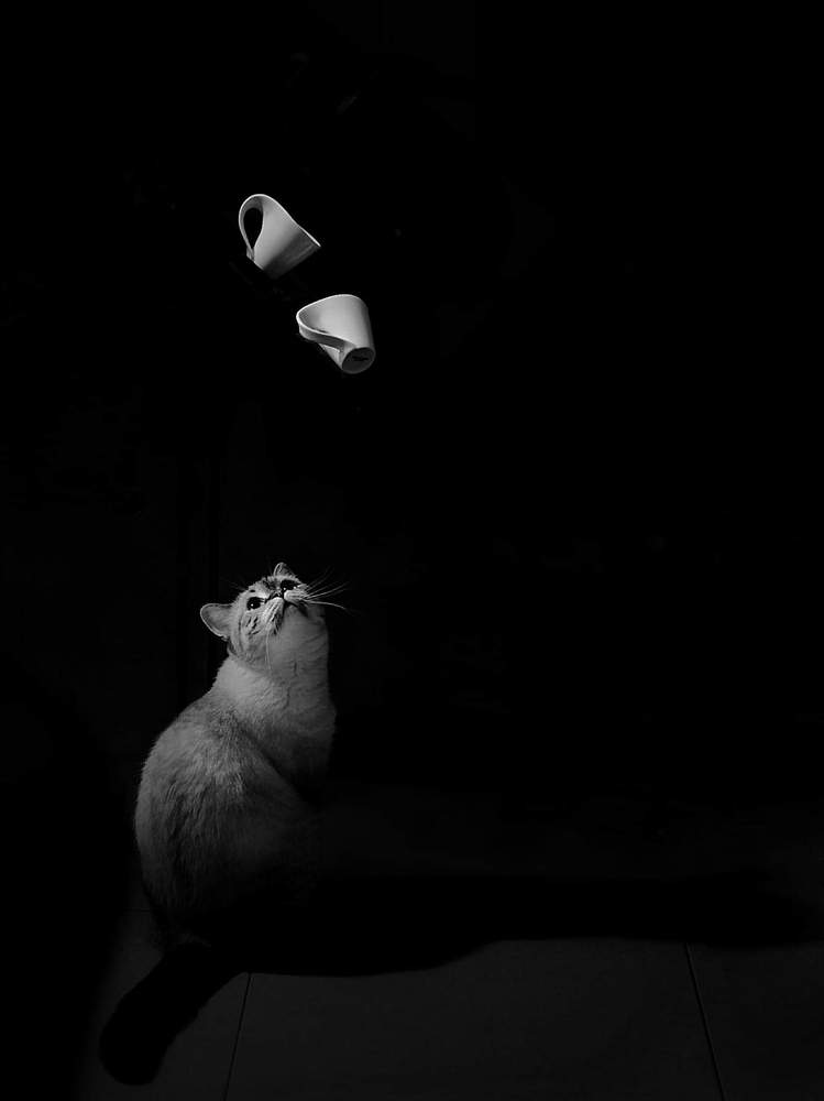 Гравитация