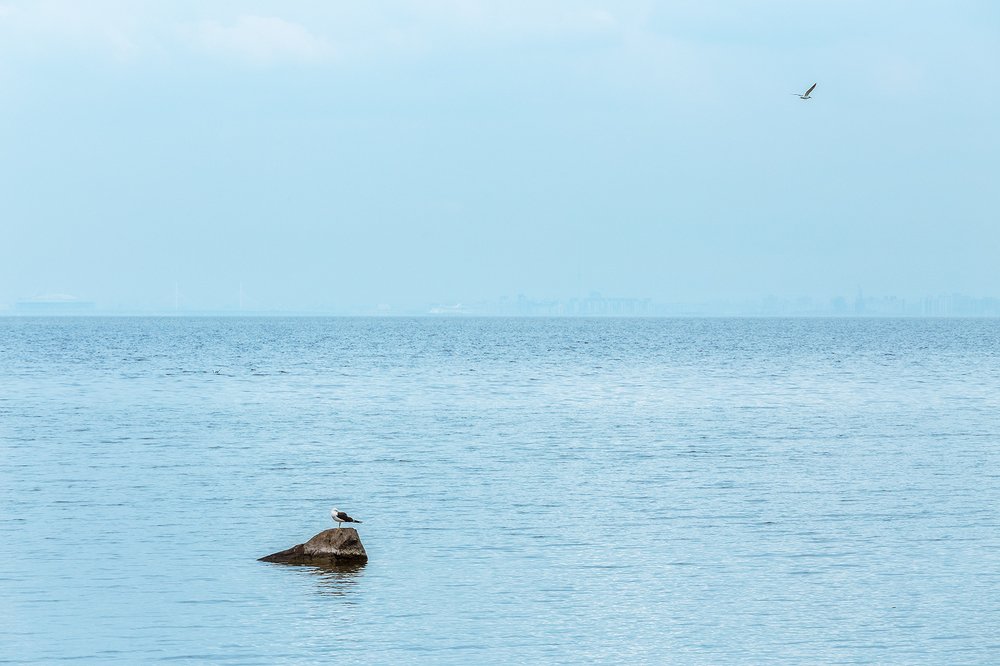 Фотография автора Мартыненко Дмитрий