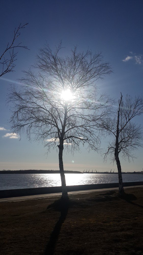 Photograph by Елена Дубова