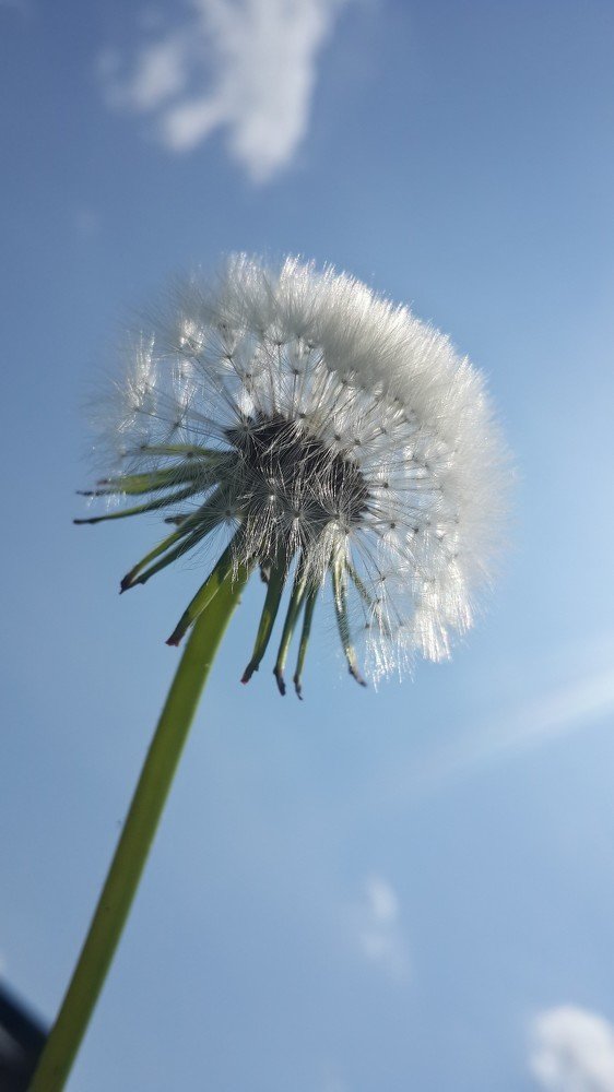 Photograph by Елена Дубова