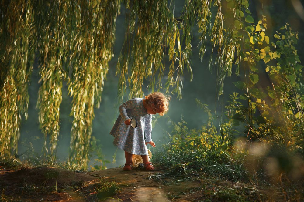 Вокрук прекрасный мир