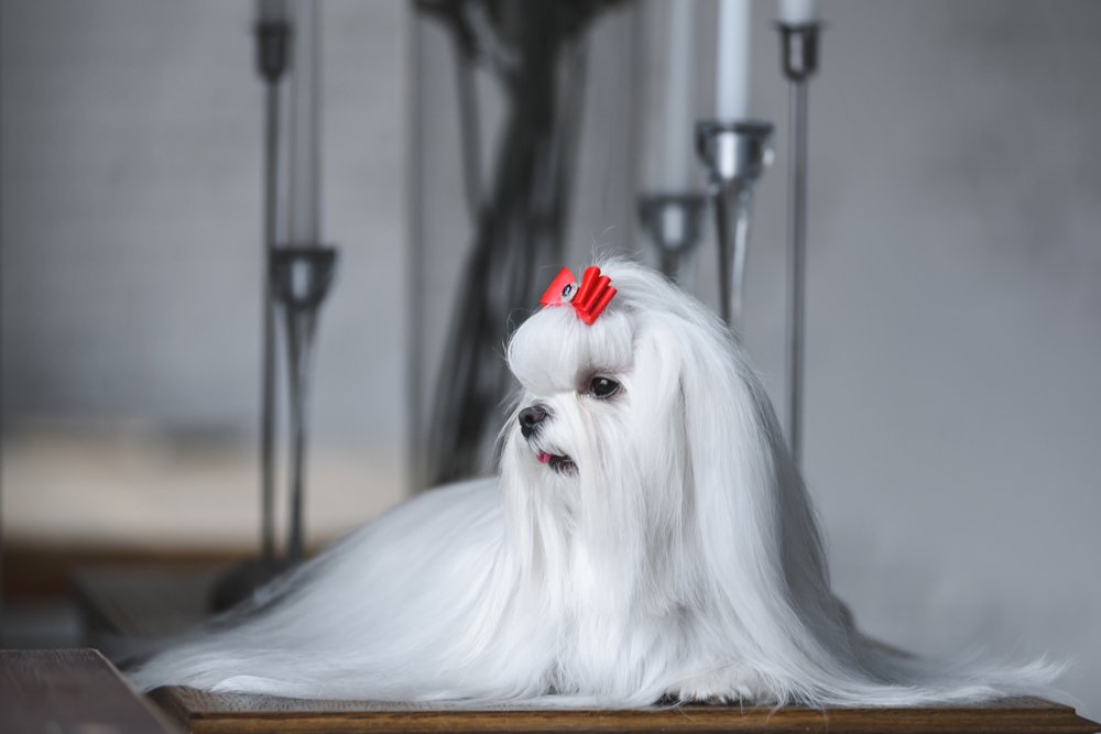 Photograph by Шихалеева 