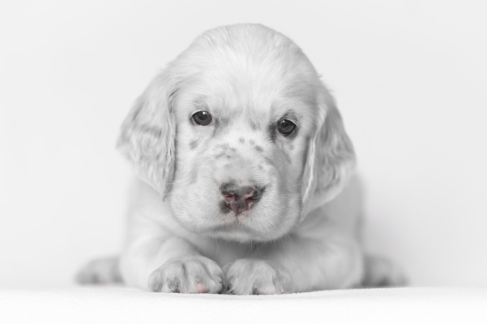 Photograph by Шихалеева 