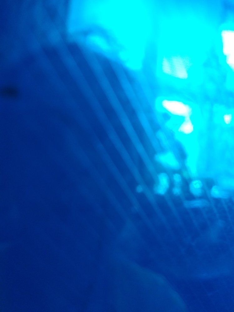 Photograph by Регина Орехова