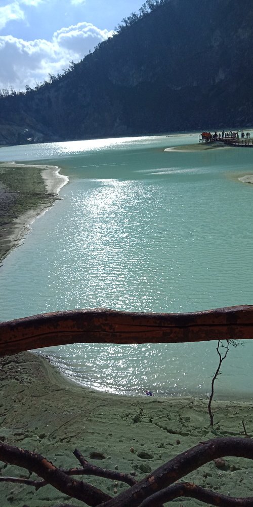 Photo #3538068