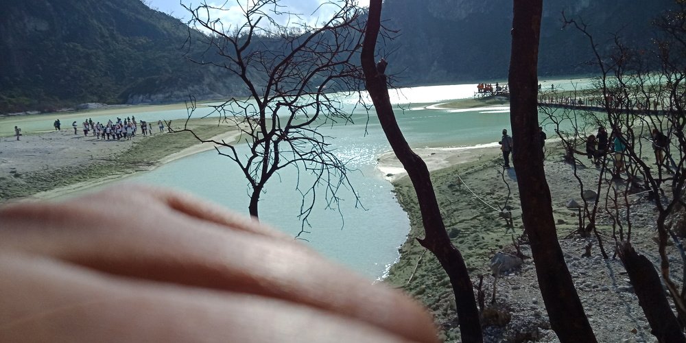 Photo #3538076