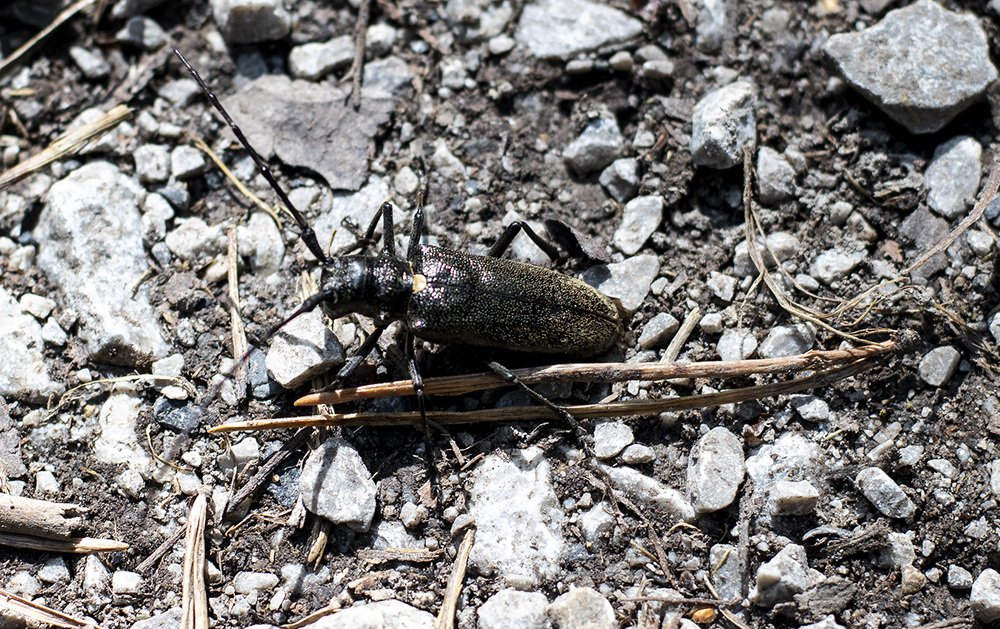 Photograph by Екатерина Абросова