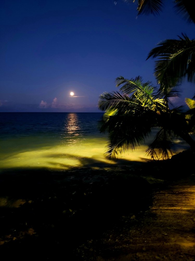 Photograph by Valfrido Leão
