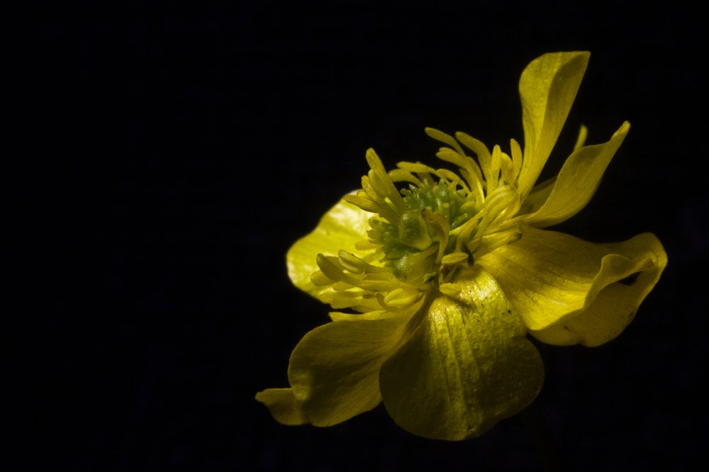 Photograph by Алексей Тимофеев