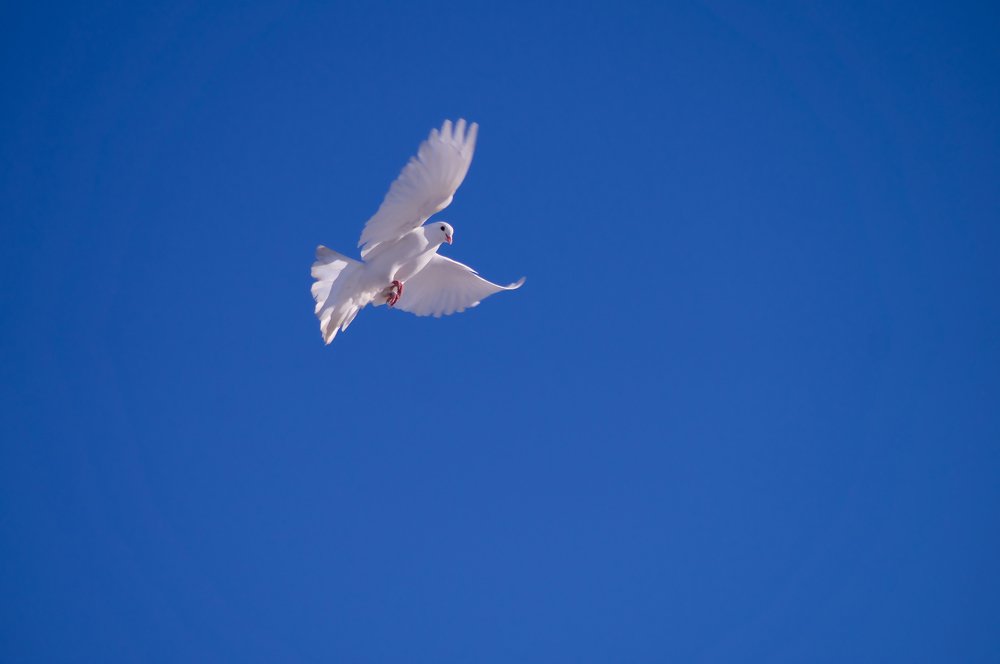 Photograph by Виктор Зотов