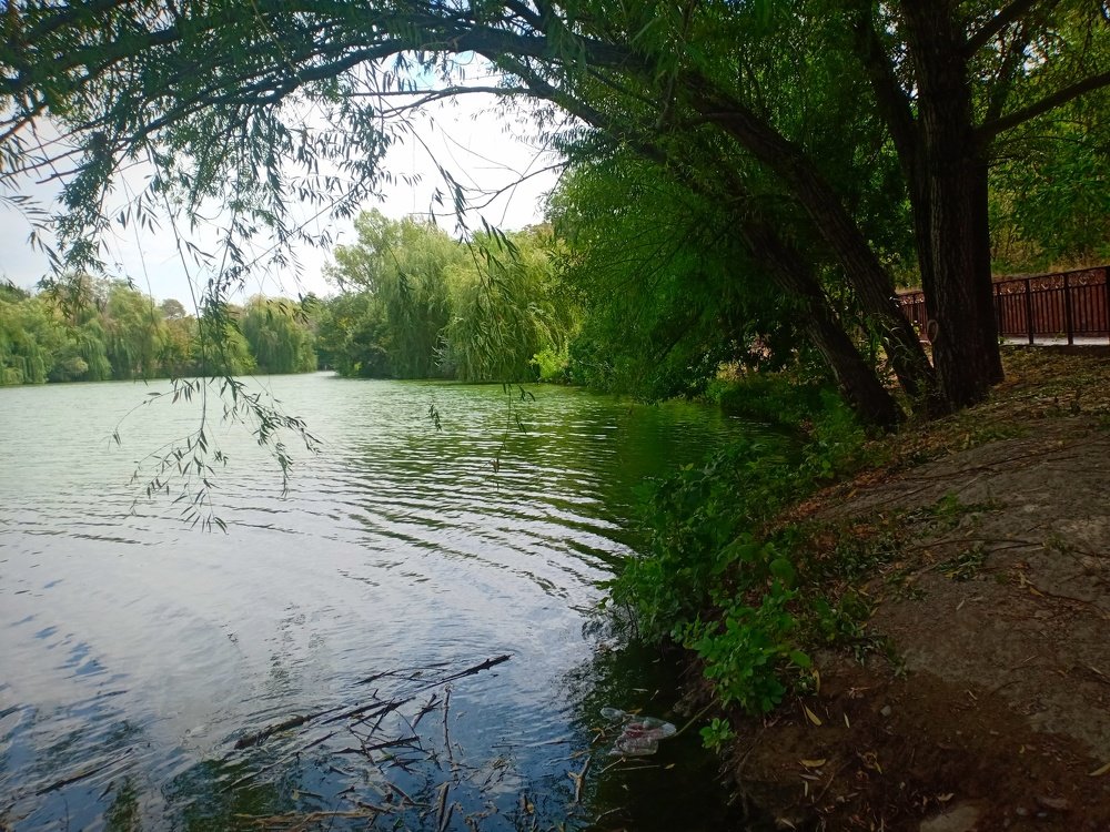 Photograph by Нуржигит Елеусиз