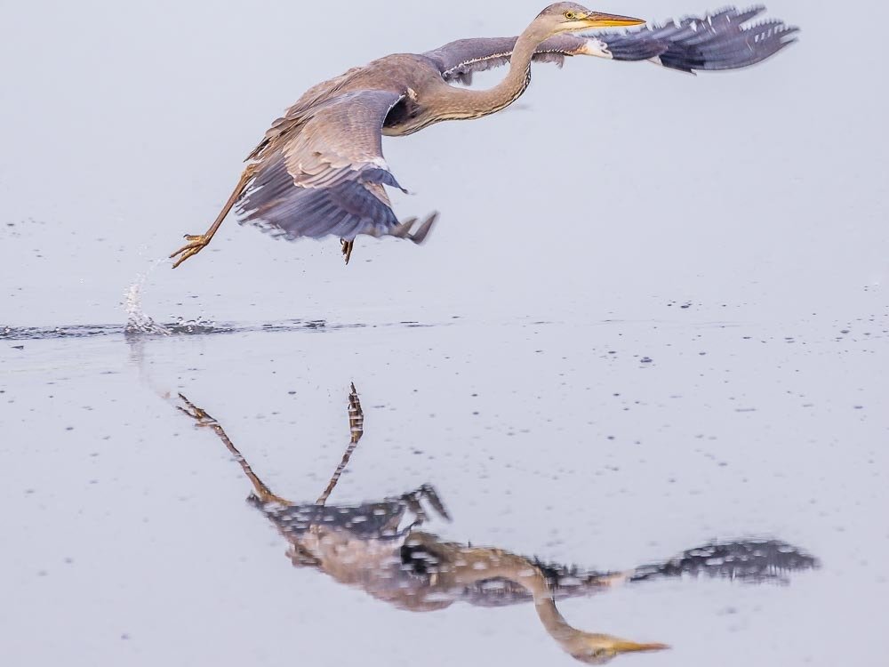 Photograph by António Vieira