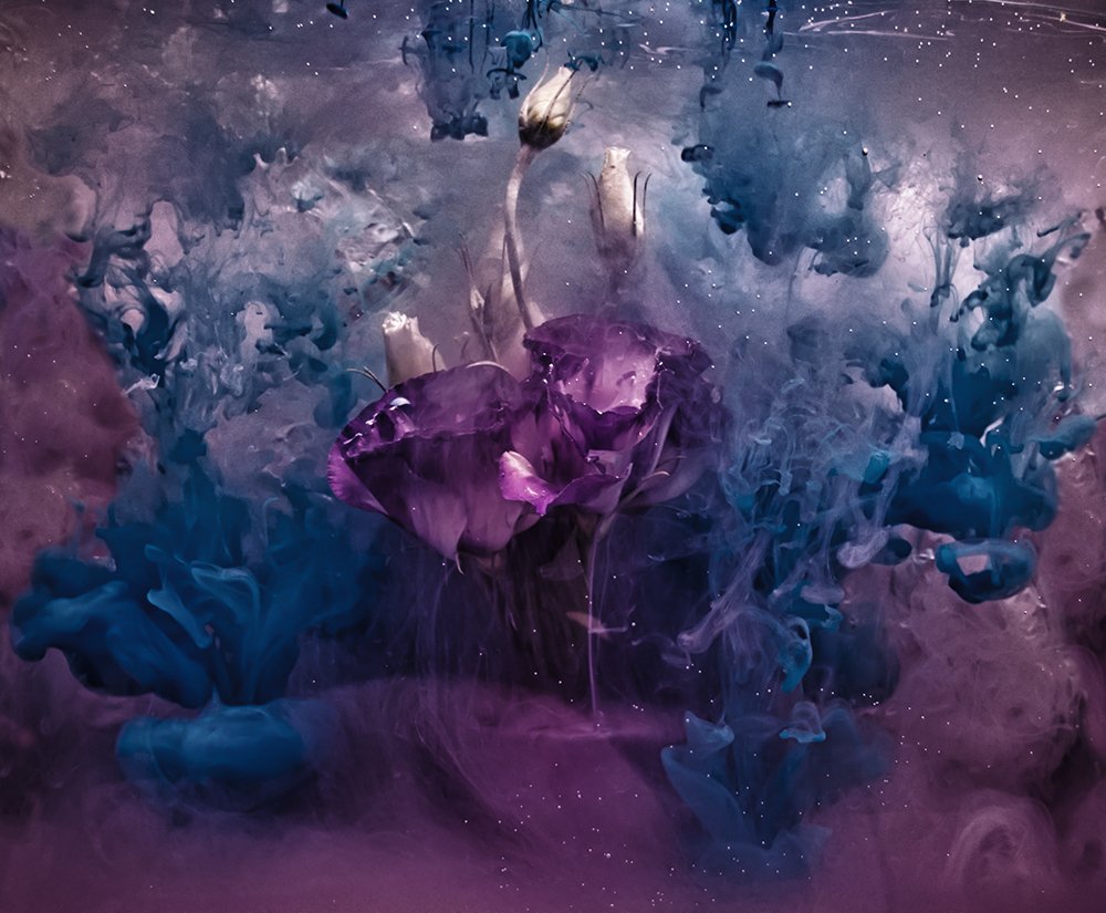 Краски цветов №5