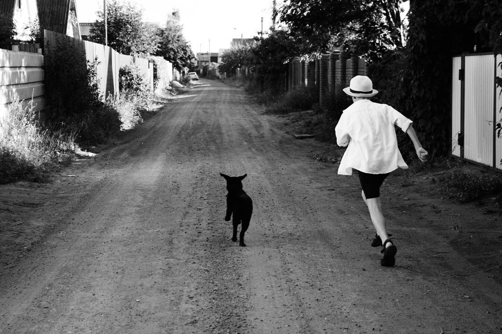 Photograph by Алина Гребешкова