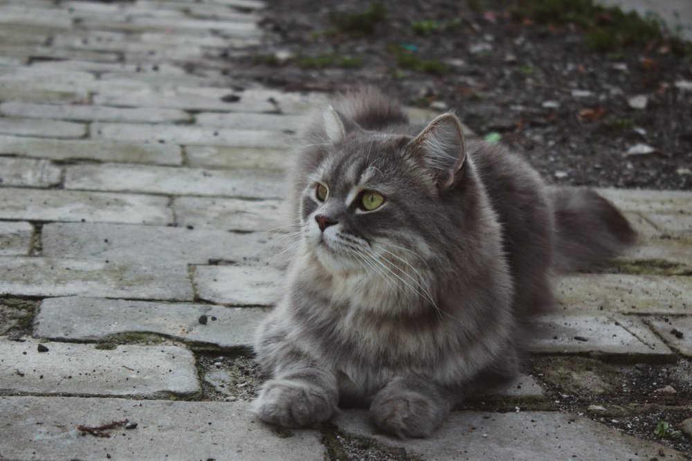 Photograph by Адель Магаева