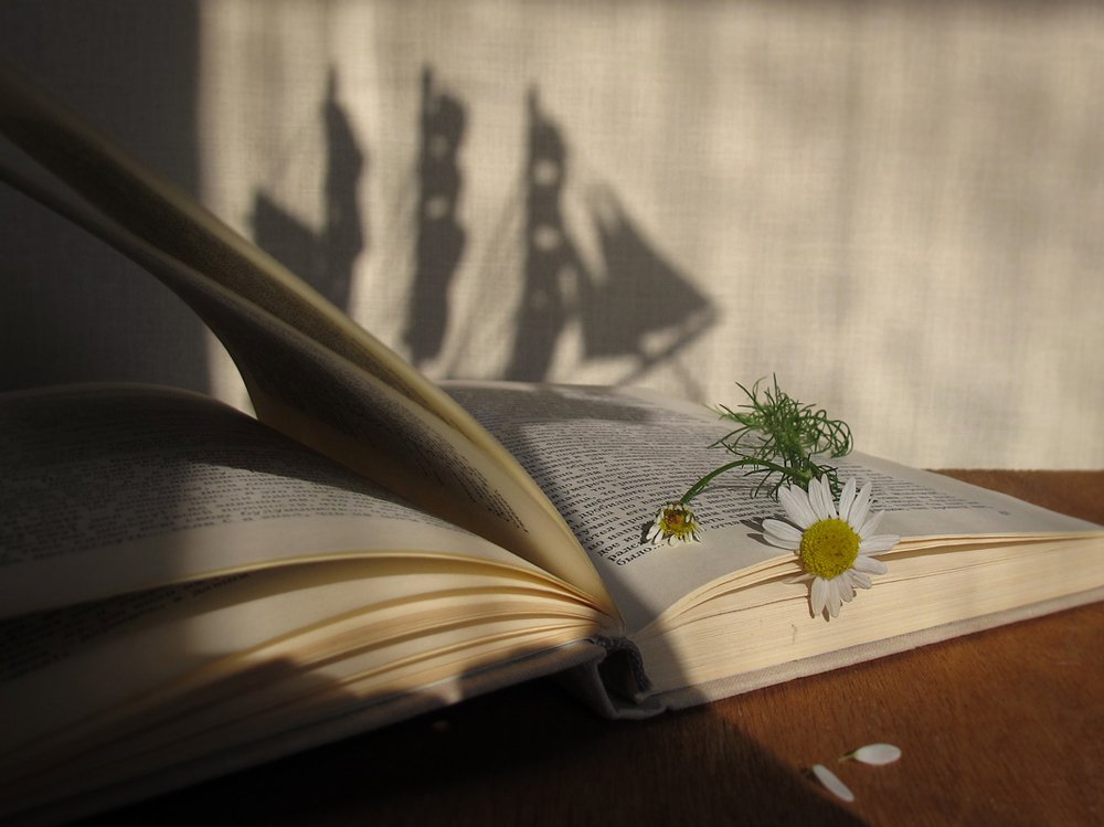 Фотография автора ТАТЬЯНА ЗАХАРОВА