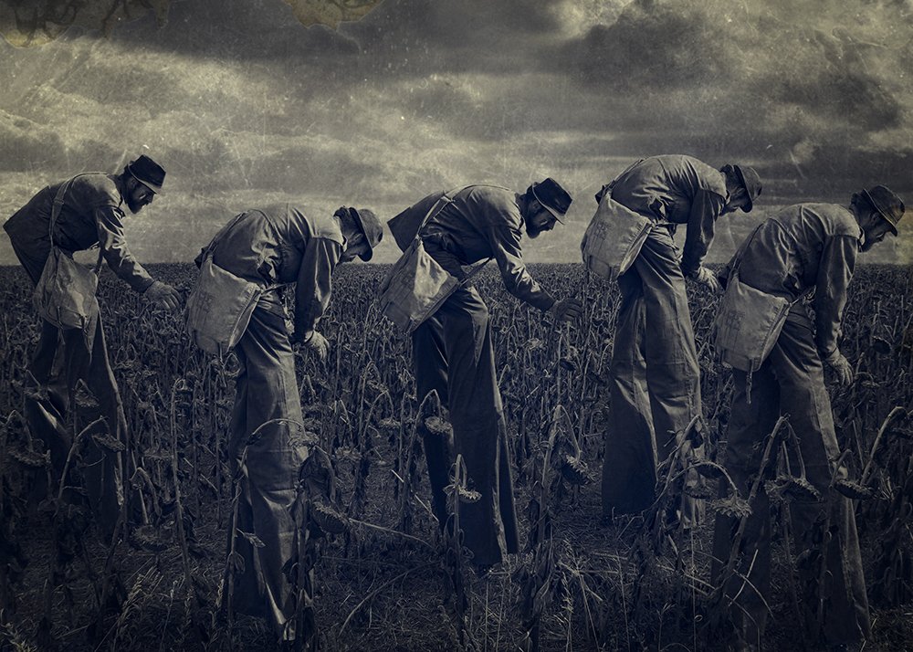 Их уже не спасти