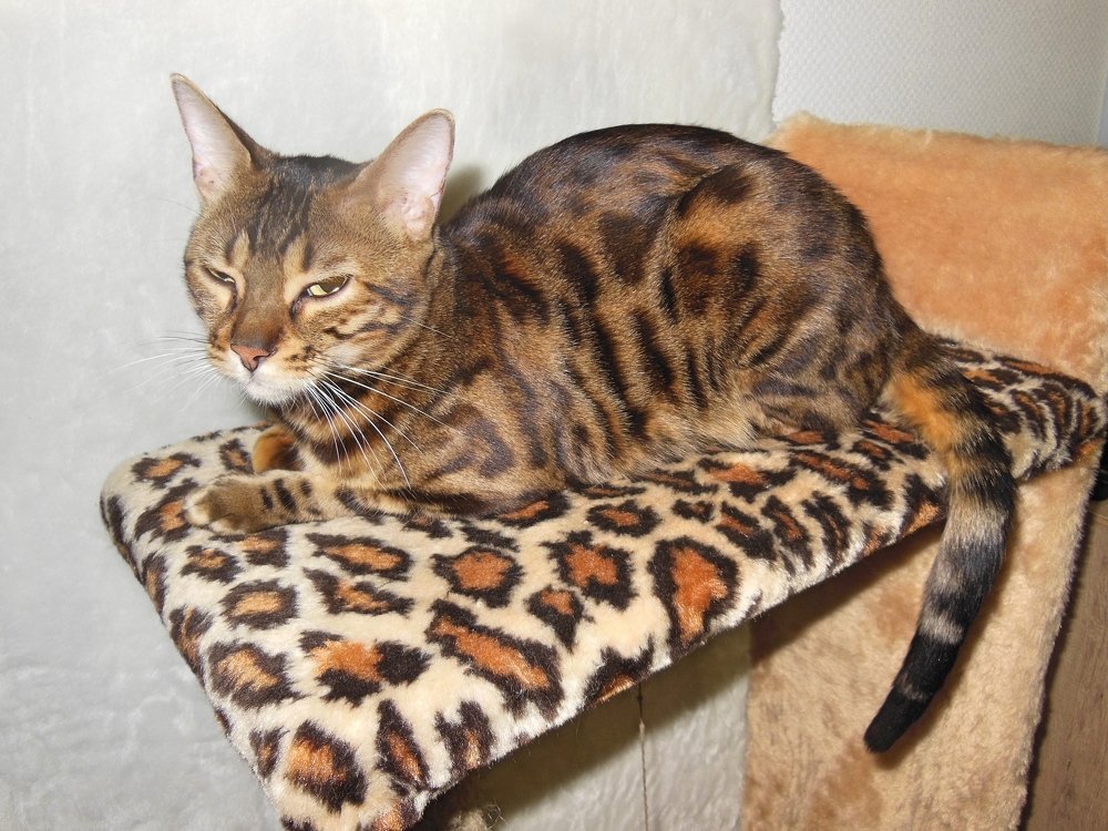 Photograph by Вячеслав Чирин