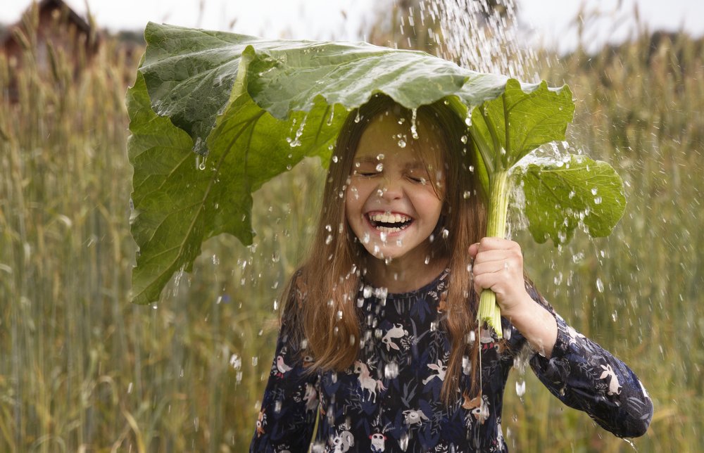 Фотография автора Анна Смирнова