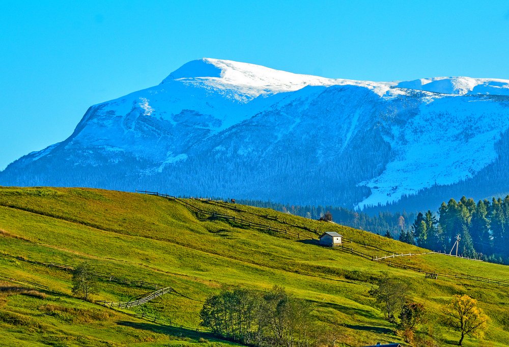Photograph by Владимир Гузик
