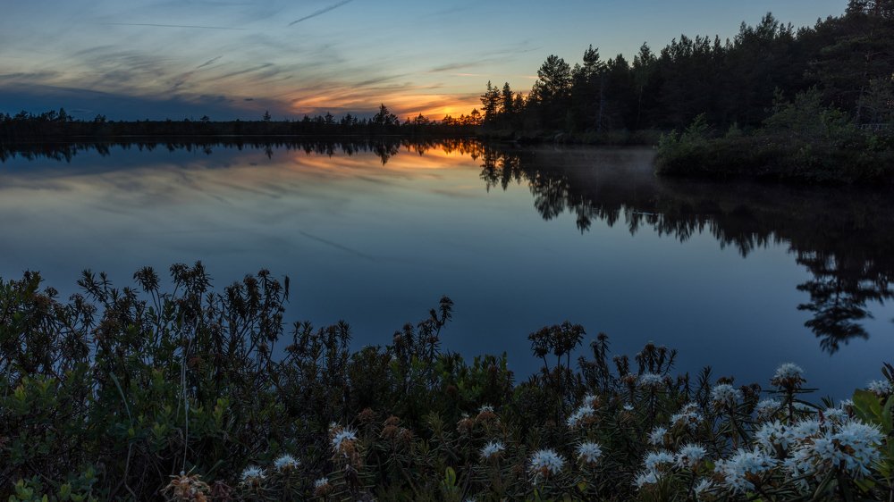 Photograph by Dace Spalviņa