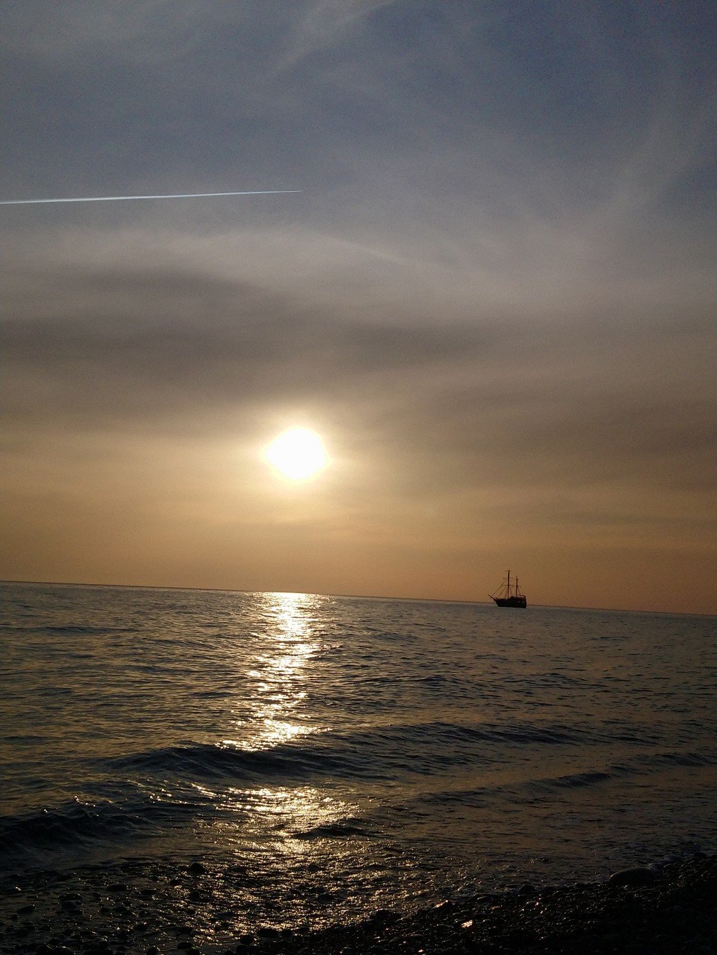 Photo #3538459