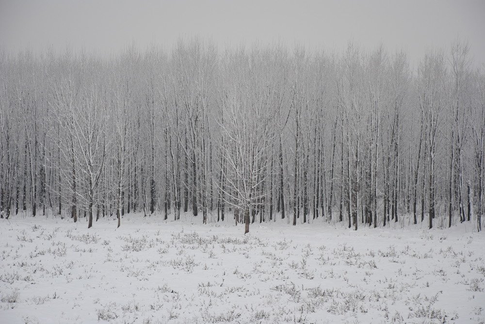 Photograph by Ivana Popov