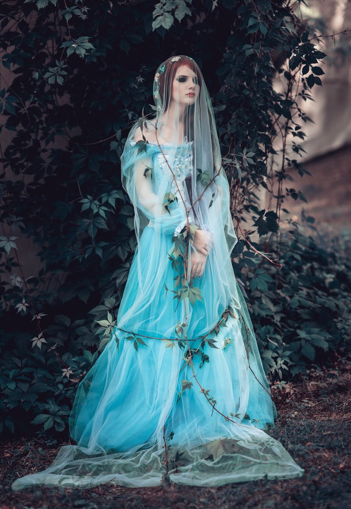 Фотография автора Диана Липкина