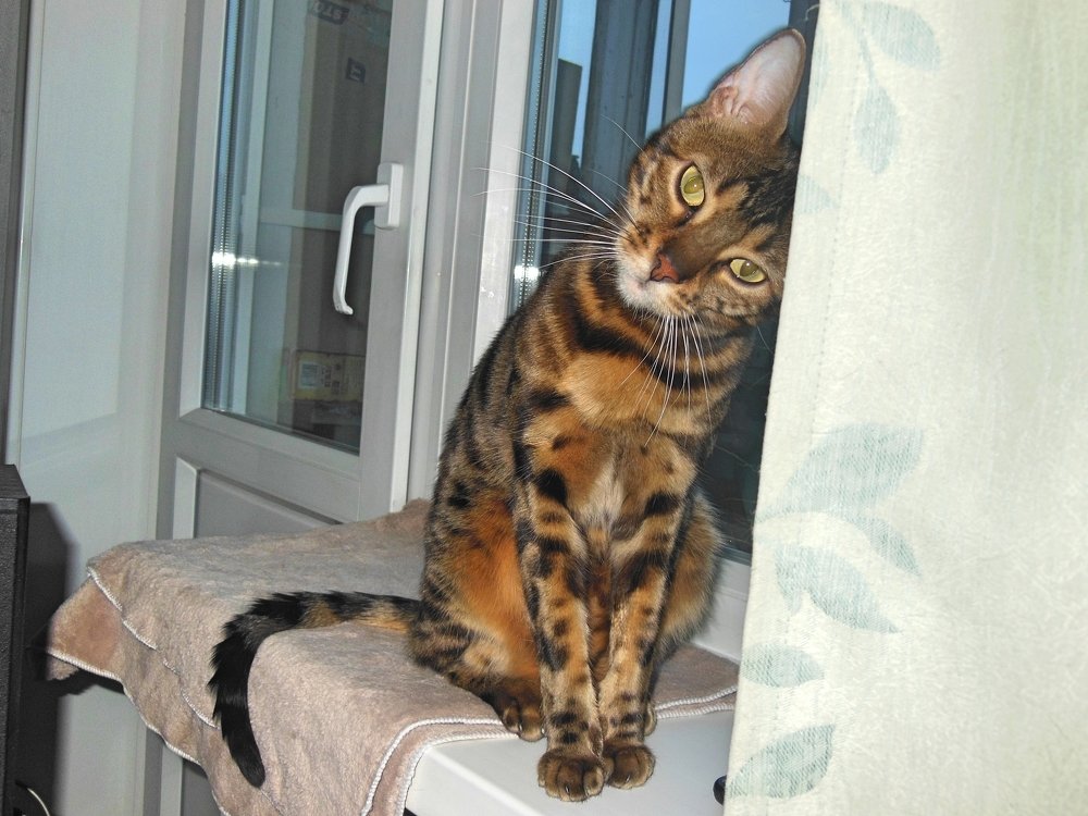 Photograph by Вячеслав Чирин