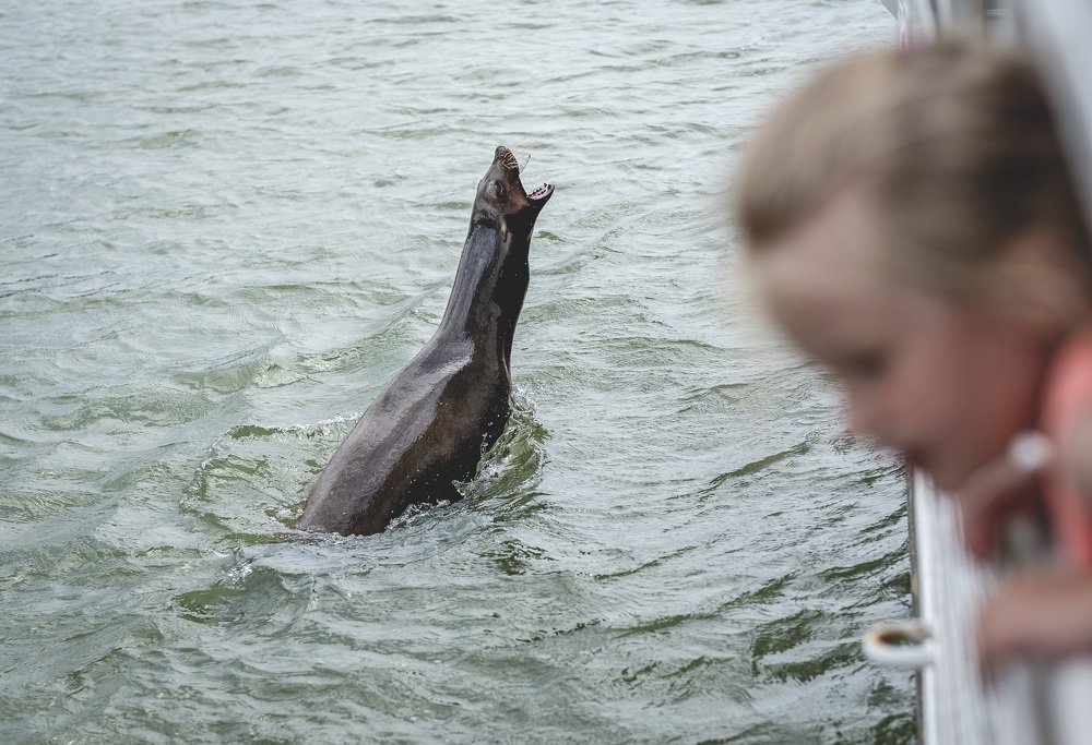 Фотография автора Nikoletta