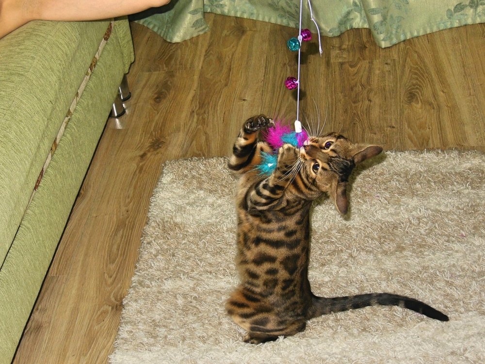 Photograph by Вячеслав Чирин