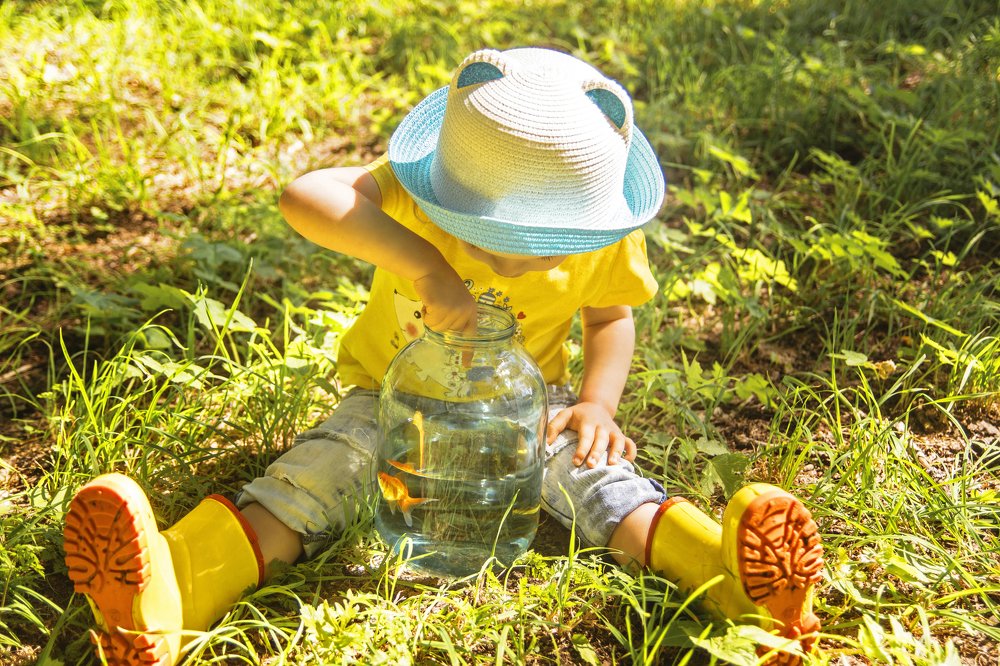 Photograph by Жанна Безрукова