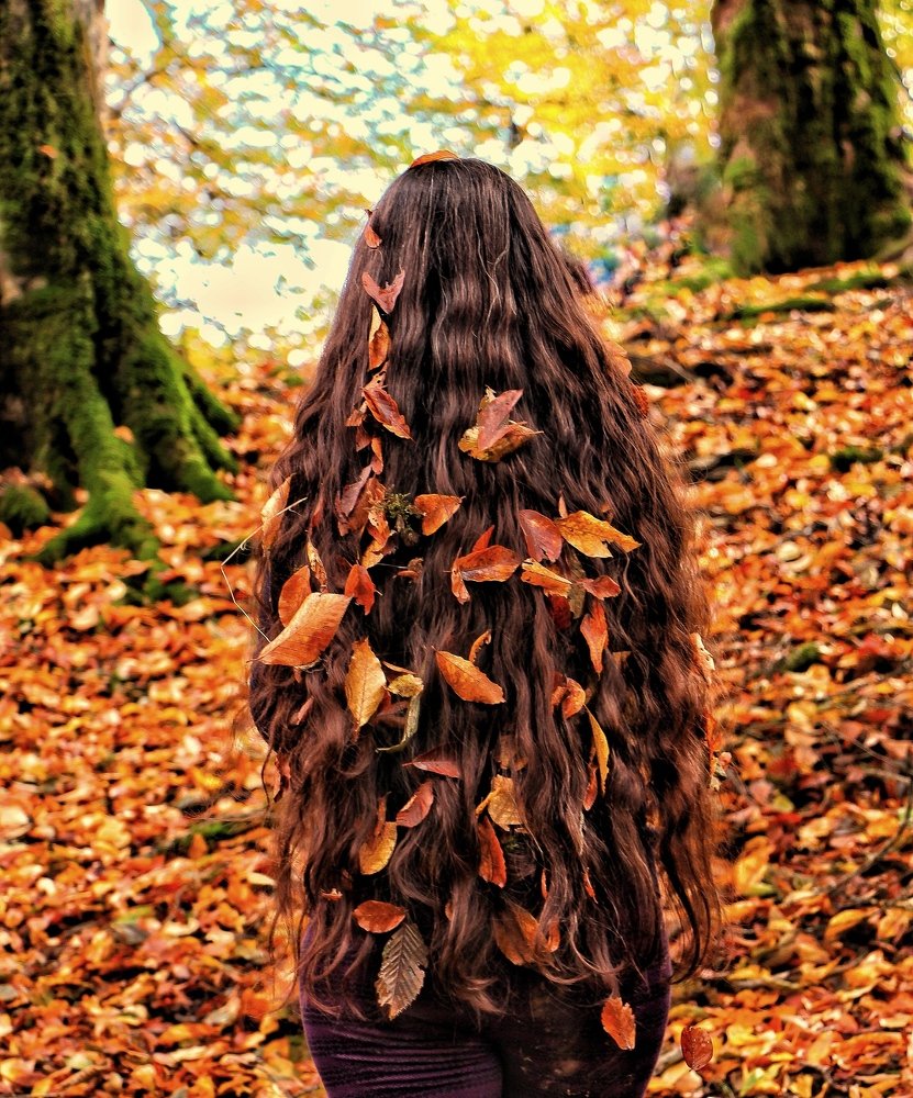 Photograph by  Abolfazl Mokhtari Hassan Abad