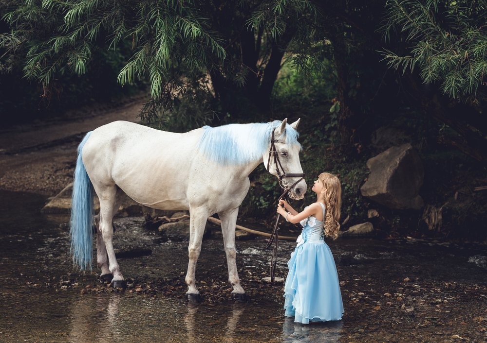 Фотография автора Диана Липкина