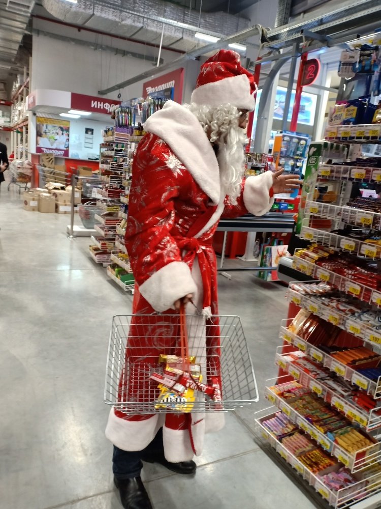 Photo #3538719