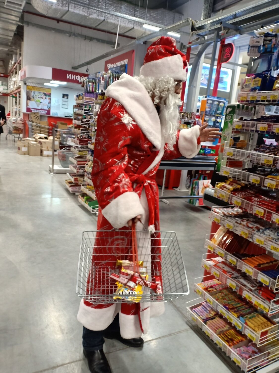 Photo #3538719
