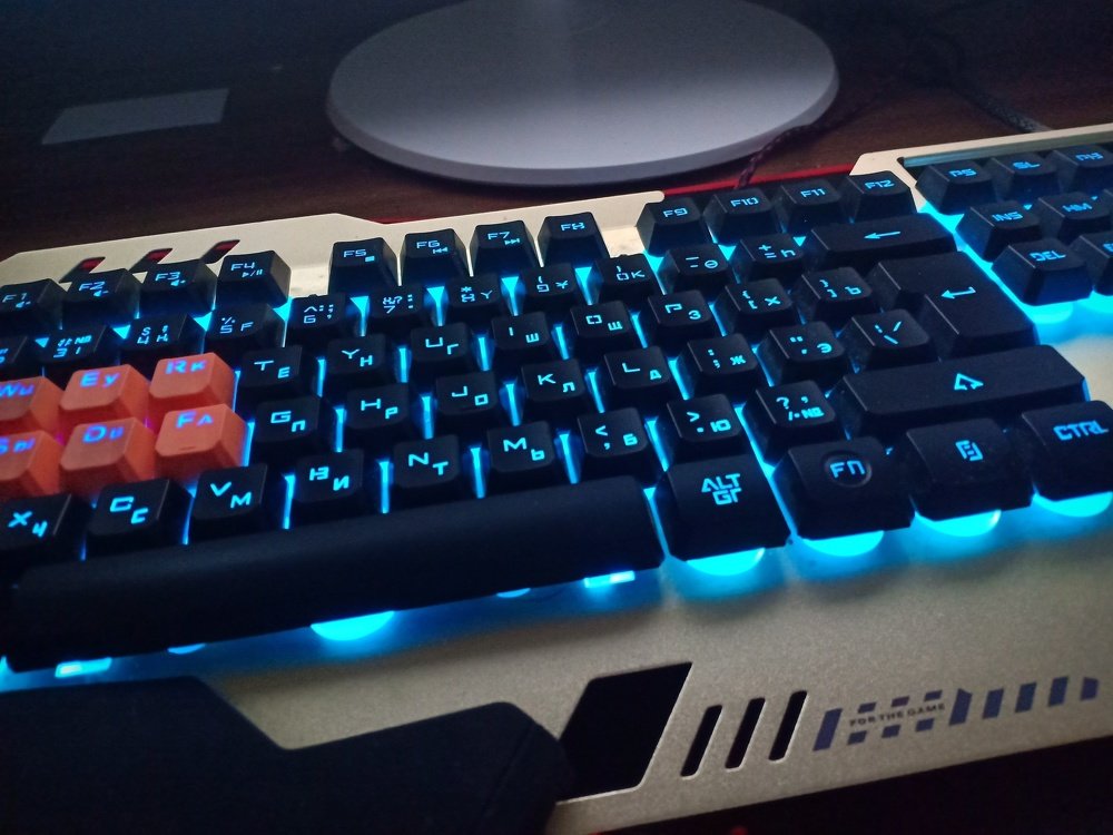 Photo #3538756