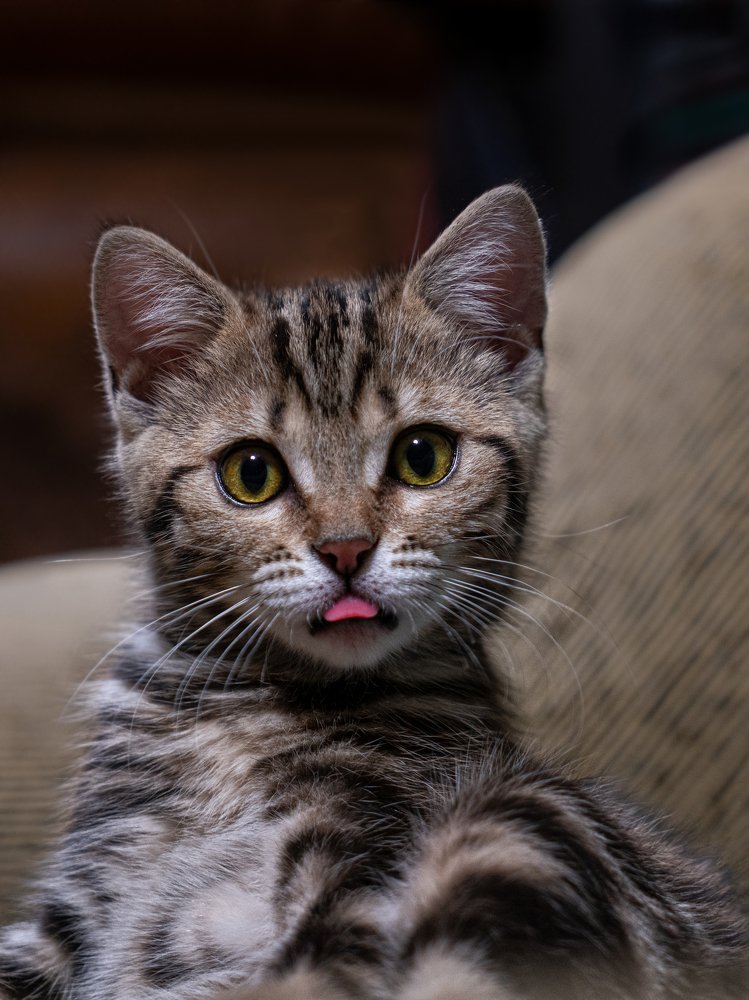 Фотография автора Татьяна Гореславец