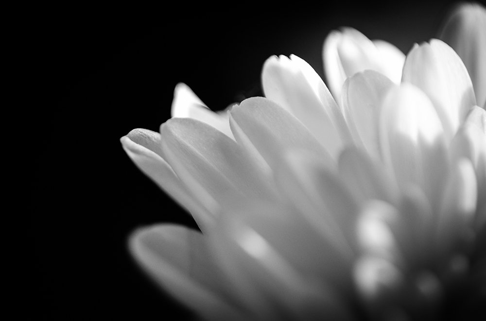 Photograph by Sahar Jafari