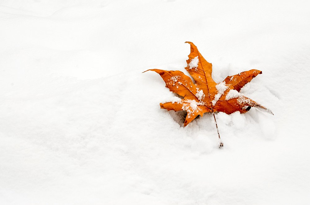 Photograph by Sahar Jafari