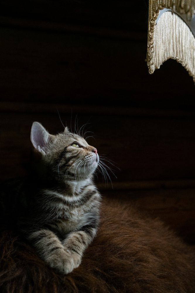 Фотография автора Татьяна Гореславец