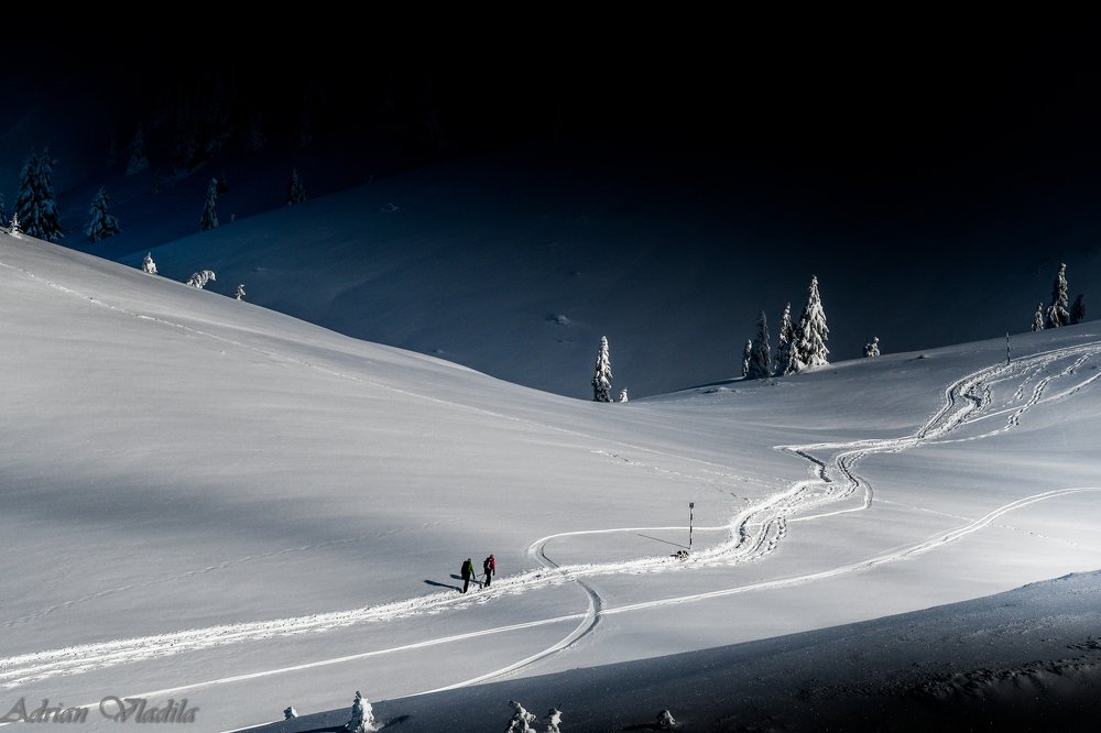 Photograph by Adrian Vladila