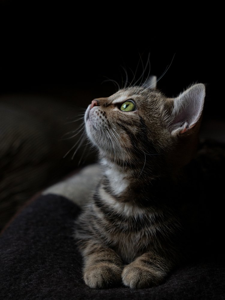 Фотография автора Татьяна Гореславец