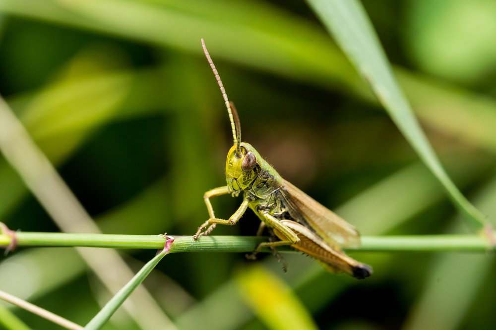 Photograph by Adrian Vladila