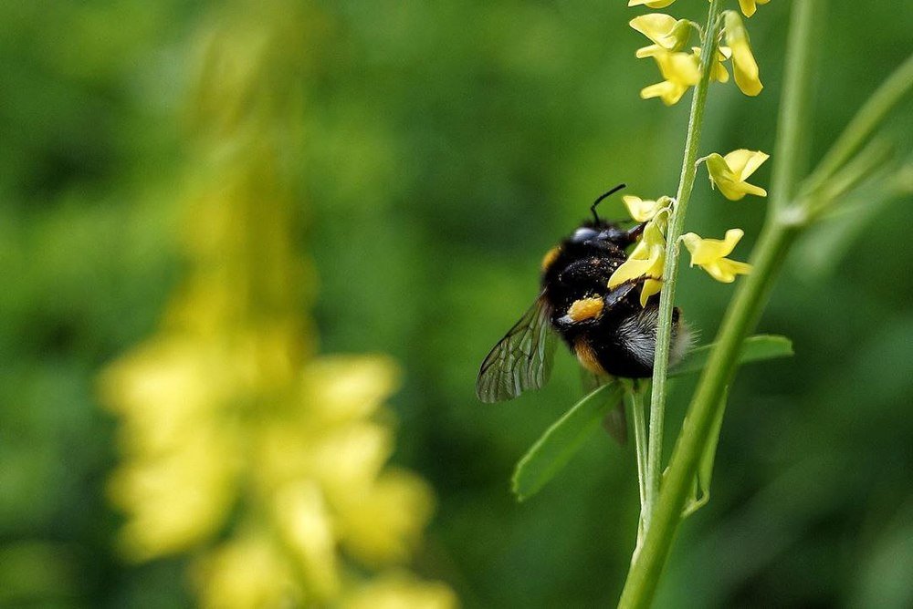 Photograph by Александра Морозова